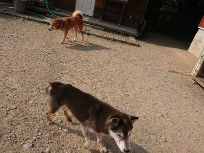 f:id:roukenhome-ann:20190802071041j:plain