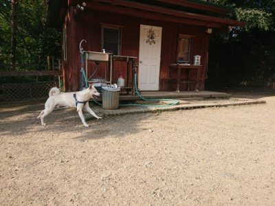 f:id:roukenhome-ann:20190802071046j:plain