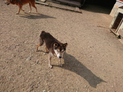 f:id:roukenhome-ann:20190802071103j:plain