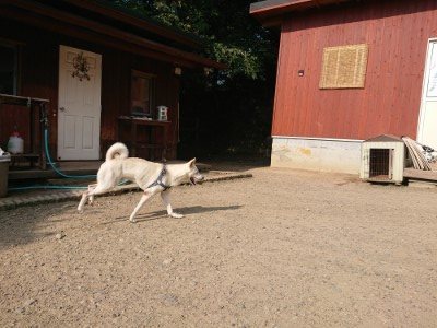 f:id:roukenhome-ann:20190802071108j:plain