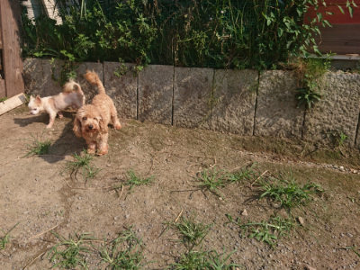 f:id:roukenhome-ann:20190802071116j:plain