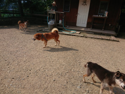 f:id:roukenhome-ann:20190802071122j:plain