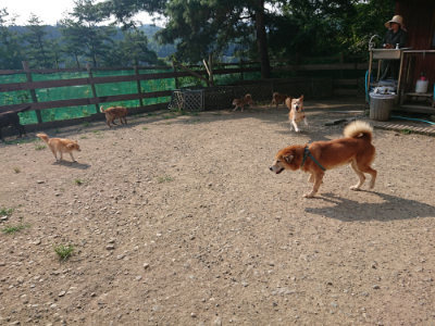 f:id:roukenhome-ann:20190802071128j:plain