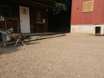 f:id:roukenhome-ann:20190802071132j:plain