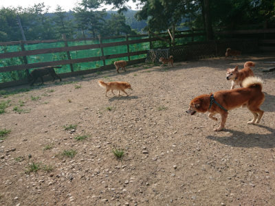 f:id:roukenhome-ann:20190802071202j:plain