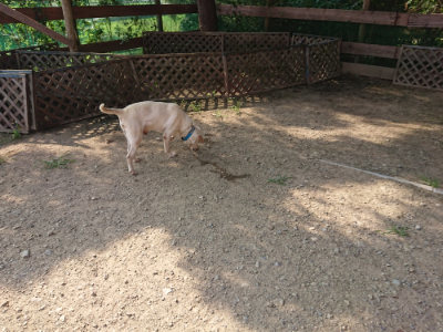 f:id:roukenhome-ann:20190802071257j:plain