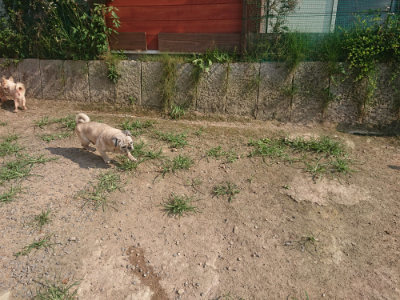 f:id:roukenhome-ann:20190802071319j:plain