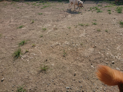 f:id:roukenhome-ann:20190802071414j:plain