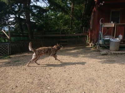 f:id:roukenhome-ann:20190802071419j:plain