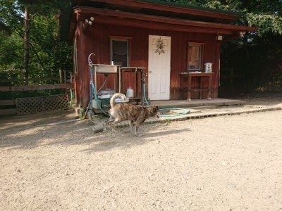 f:id:roukenhome-ann:20190802071424j:plain