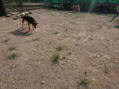 f:id:roukenhome-ann:20190802071441j:plain
