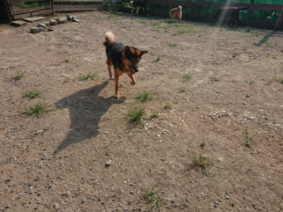 f:id:roukenhome-ann:20190802071448j:plain
