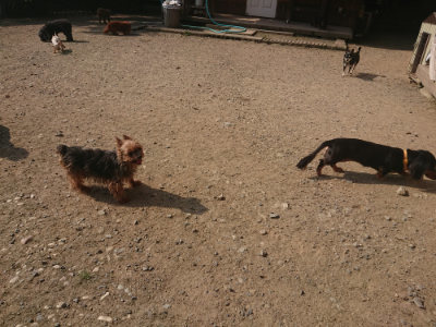 f:id:roukenhome-ann:20190802072125j:plain