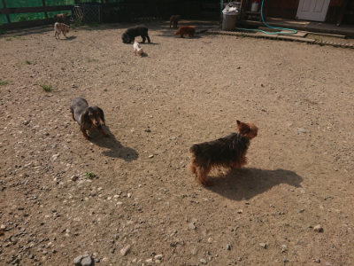 f:id:roukenhome-ann:20190802072130j:plain