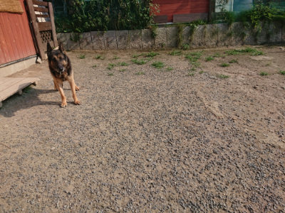 f:id:roukenhome-ann:20190802072143j:plain