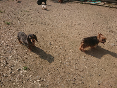 f:id:roukenhome-ann:20190802072148j:plain