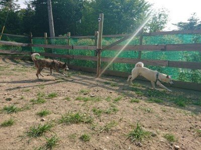 f:id:roukenhome-ann:20190802072230j:plain
