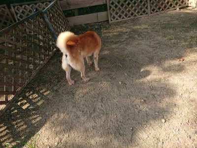 f:id:roukenhome-ann:20190802072429j:plain