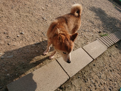 f:id:roukenhome-ann:20190802072538j:plain