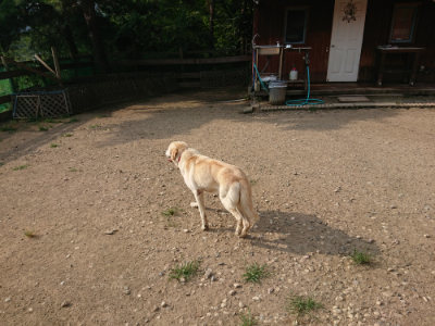 f:id:roukenhome-ann:20190802072549j:plain