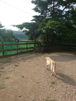 f:id:roukenhome-ann:20190802072554j:plain