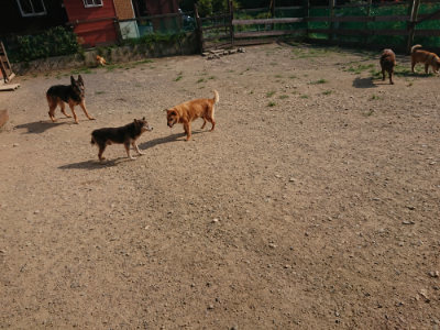 f:id:roukenhome-ann:20190802072558j:plain