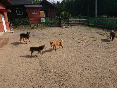 f:id:roukenhome-ann:20190802072605j:plain