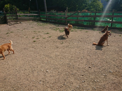 f:id:roukenhome-ann:20190802072622j:plain