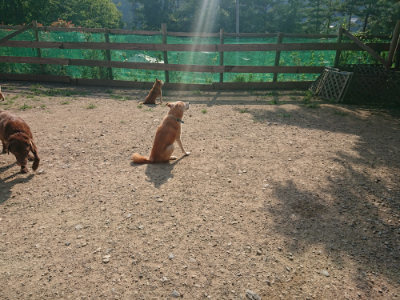 f:id:roukenhome-ann:20190802072641j:plain