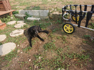 f:id:roukenhome-ann:20190802072706j:plain