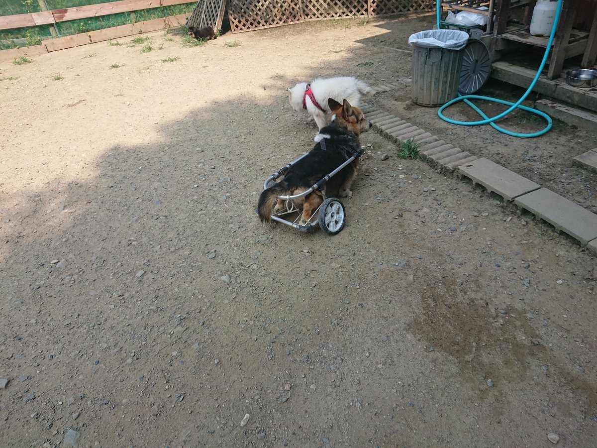 f:id:roukenhome-ann:20190802152332j:plain