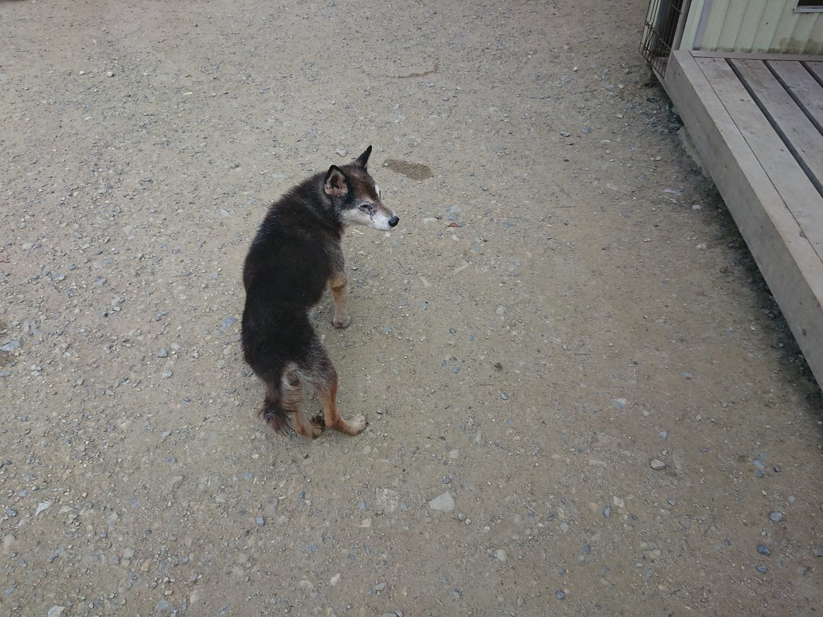 f:id:roukenhome-ann:20190802152536j:plain