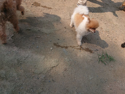 f:id:roukenhome-ann:20190802152941j:plain