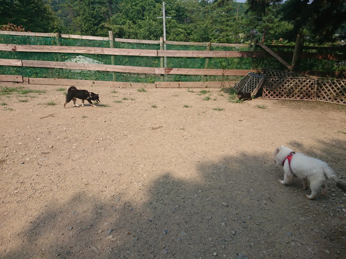 f:id:roukenhome-ann:20190802153035j:plain