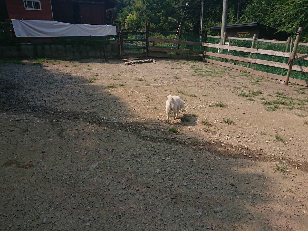 f:id:roukenhome-ann:20190802153141j:plain