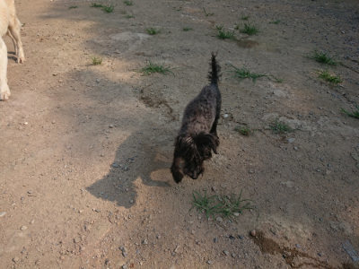 f:id:roukenhome-ann:20190802153414j:plain