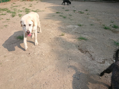 f:id:roukenhome-ann:20190802153434j:plain