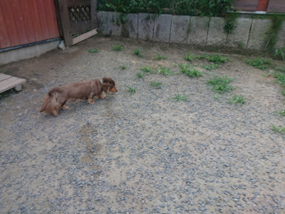 f:id:roukenhome-ann:20190802174645j:plain