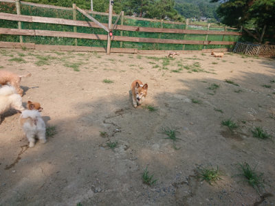 f:id:roukenhome-ann:20190802174653j:plain