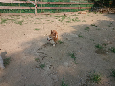 f:id:roukenhome-ann:20190802174701j:plain