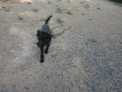 f:id:roukenhome-ann:20190802174712j:plain