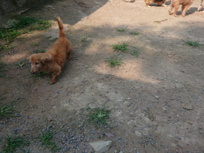 f:id:roukenhome-ann:20190802174746j:plain