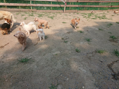 f:id:roukenhome-ann:20190802174759j:plain