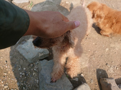 f:id:roukenhome-ann:20190802174844j:plain