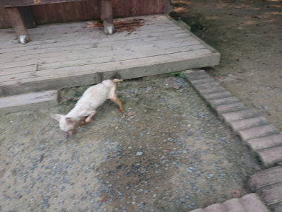 f:id:roukenhome-ann:20190802174939j:plain