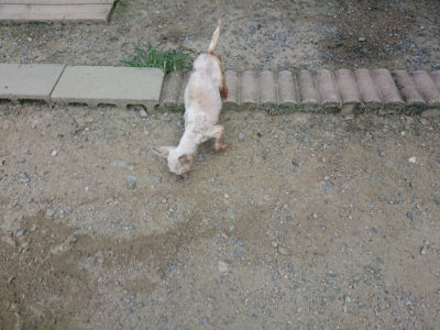 f:id:roukenhome-ann:20190802175010j:plain