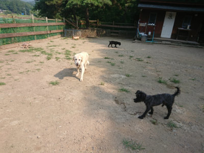 f:id:roukenhome-ann:20190802175026j:plain