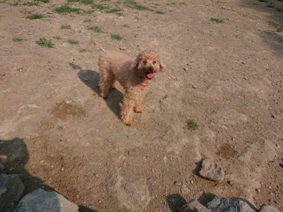 f:id:roukenhome-ann:20190802175058j:plain