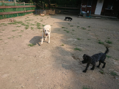 f:id:roukenhome-ann:20190802175110j:plain