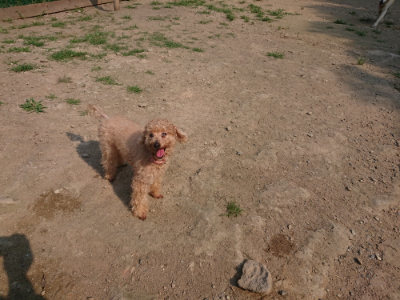 f:id:roukenhome-ann:20190802175115j:plain